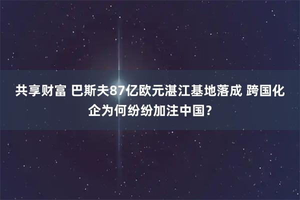 共享财富 巴斯夫87亿欧元湛江基地落成 跨国化企为何纷纷加注中国?