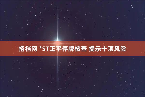 搭档网 *ST正平停牌核查 提示十项风险